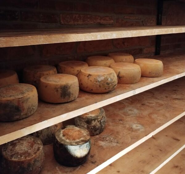 Pecorino stagionato - 500g - immagine 2