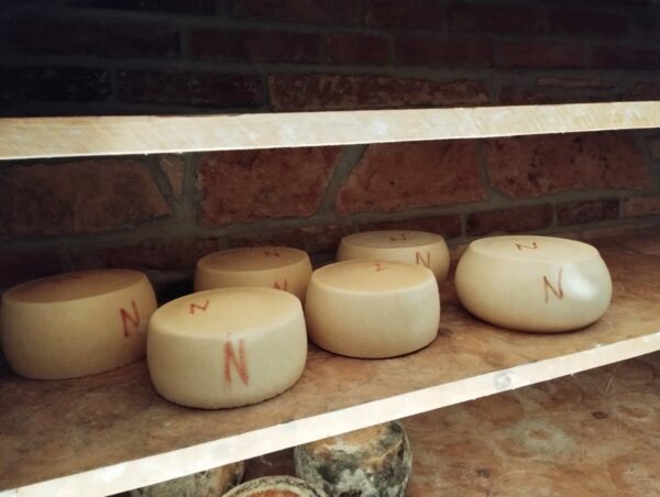 Pecorino semistagionato -  500g - immagine 2